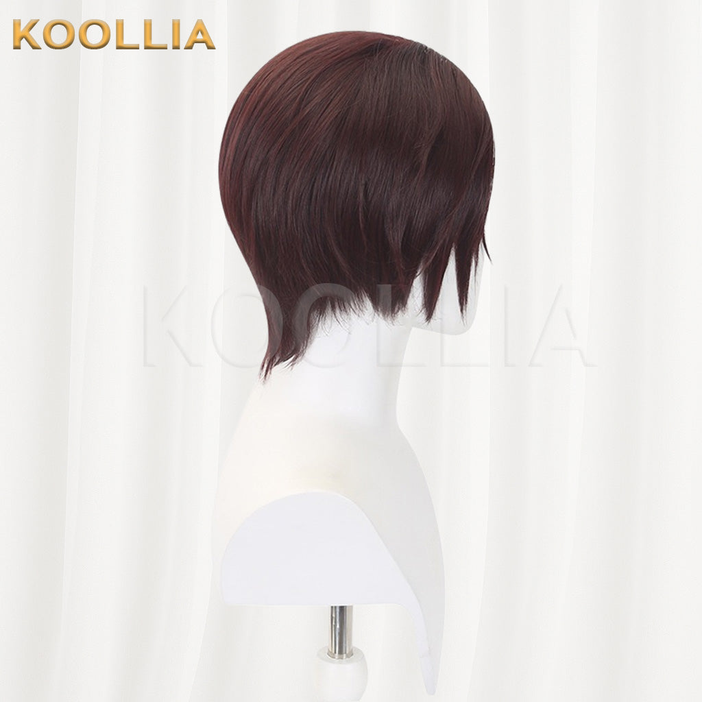 Wind Breaker Sufang Hayato Dark Reddish Brown Basic Wig