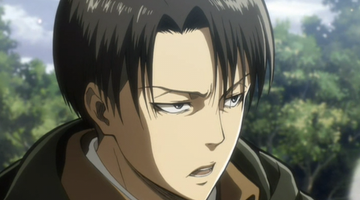 Levi Ackerman style wig - KOOLLIA