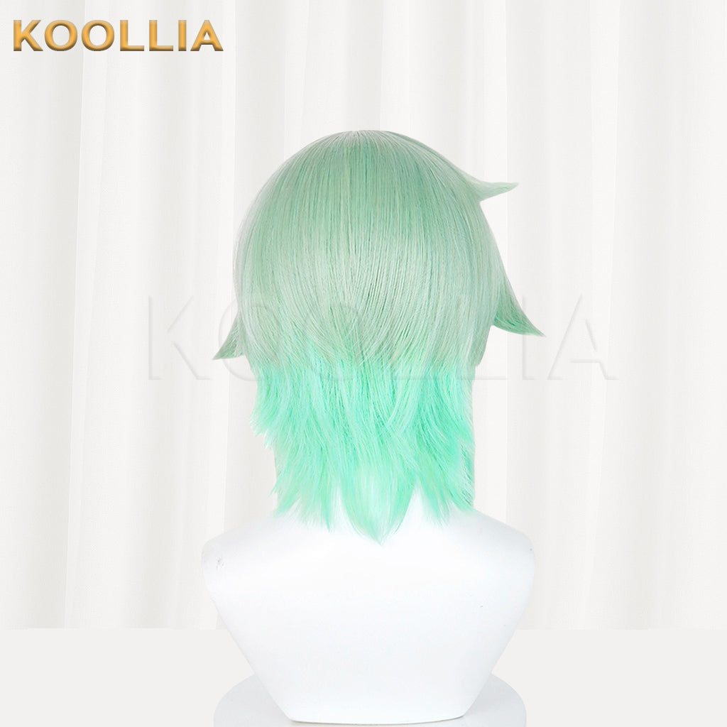 Sword Art Online Asada Shino Long Mix Hair Basic Wig