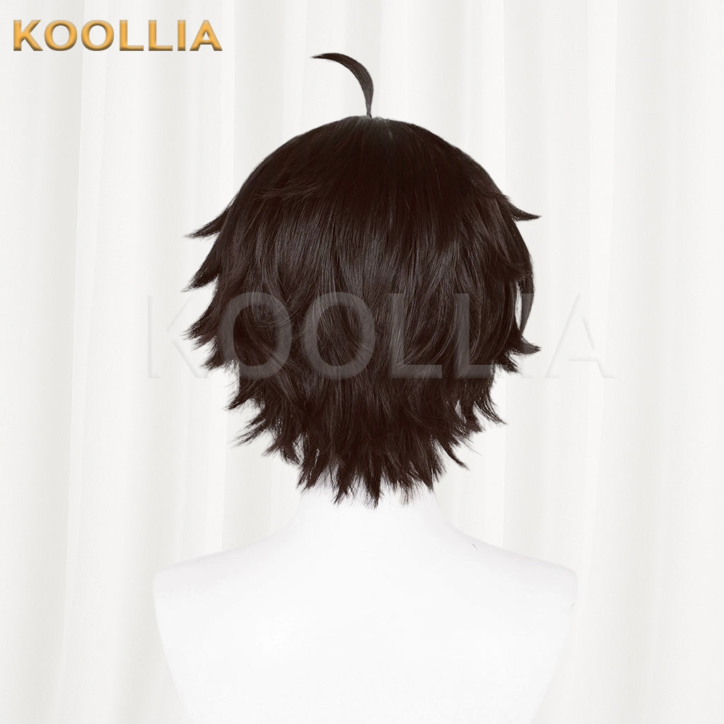Honkai: Star Rail Dan Heng Short/Long Hair Basic Wig