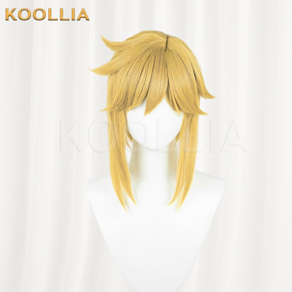 Legend of Zelda Link Short Brown/Yellow Hair Basic Wig