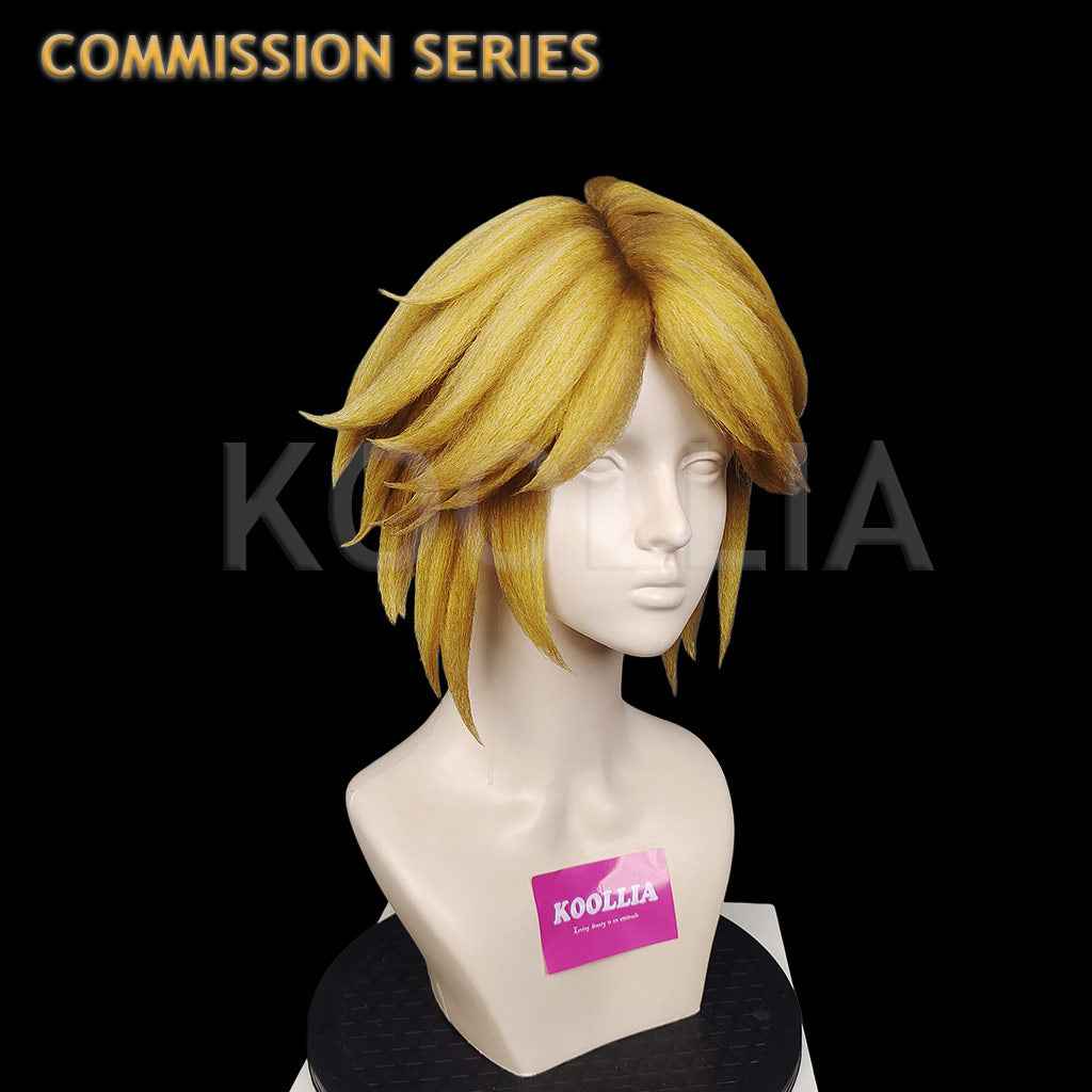 Hyrule Warriors Link Commission Wig(Pre Order)