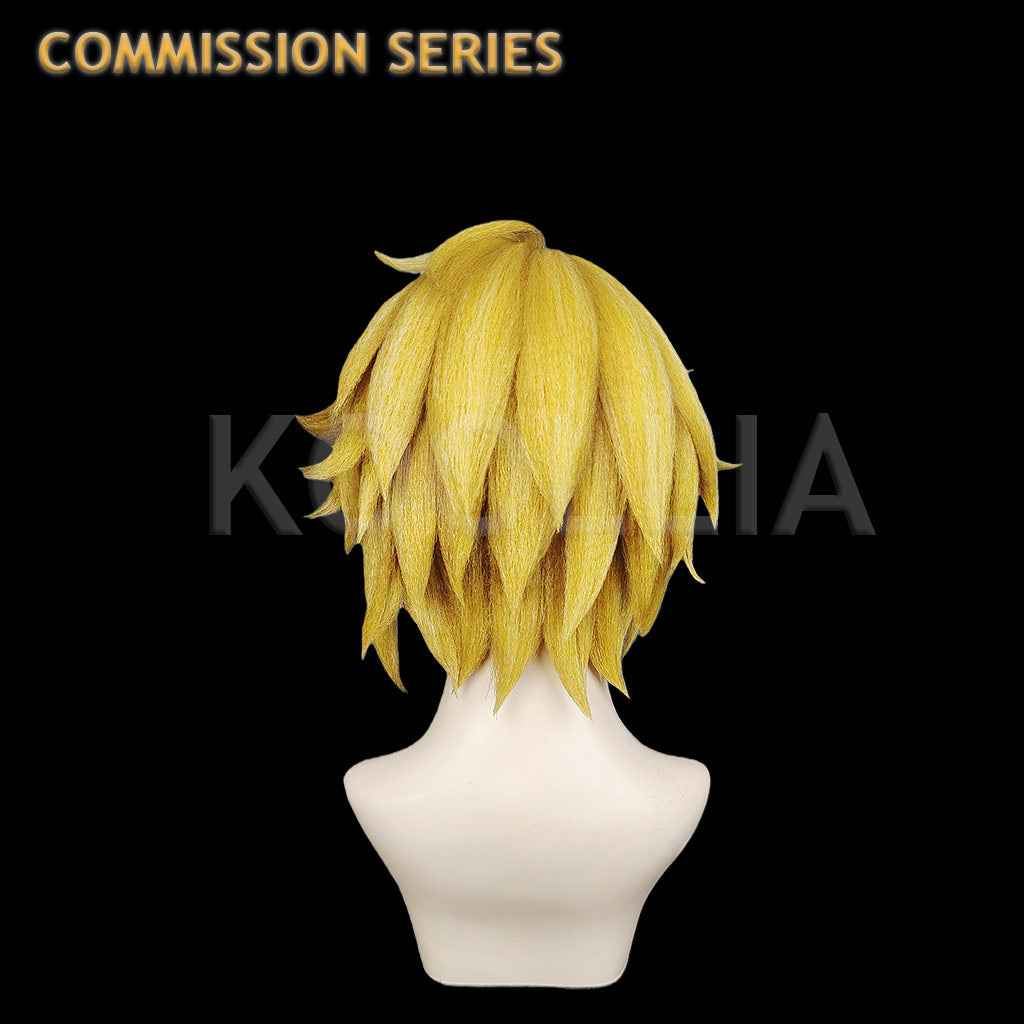 Hyrule Warriors Link Commission Wig(Pre Order)