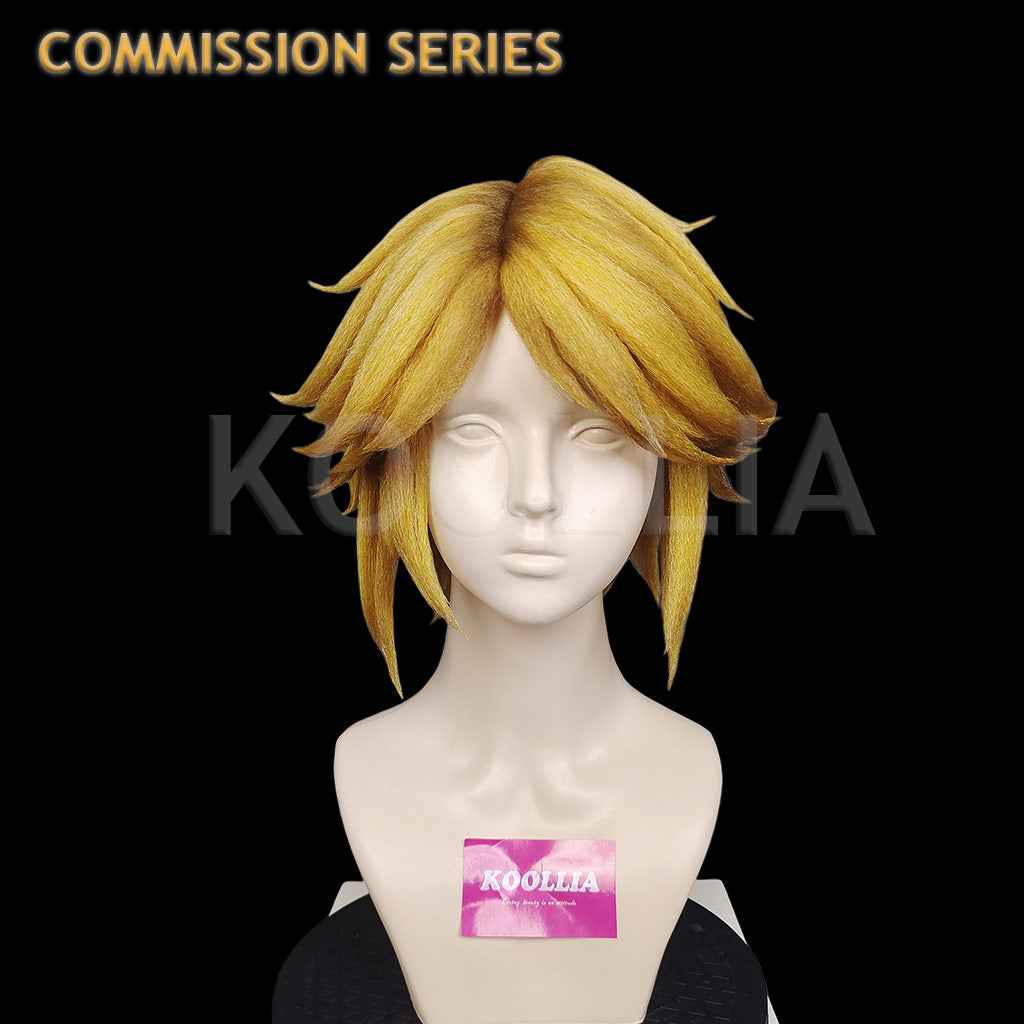 Hyrule Warriors Link Commission Wig(Pre Order)