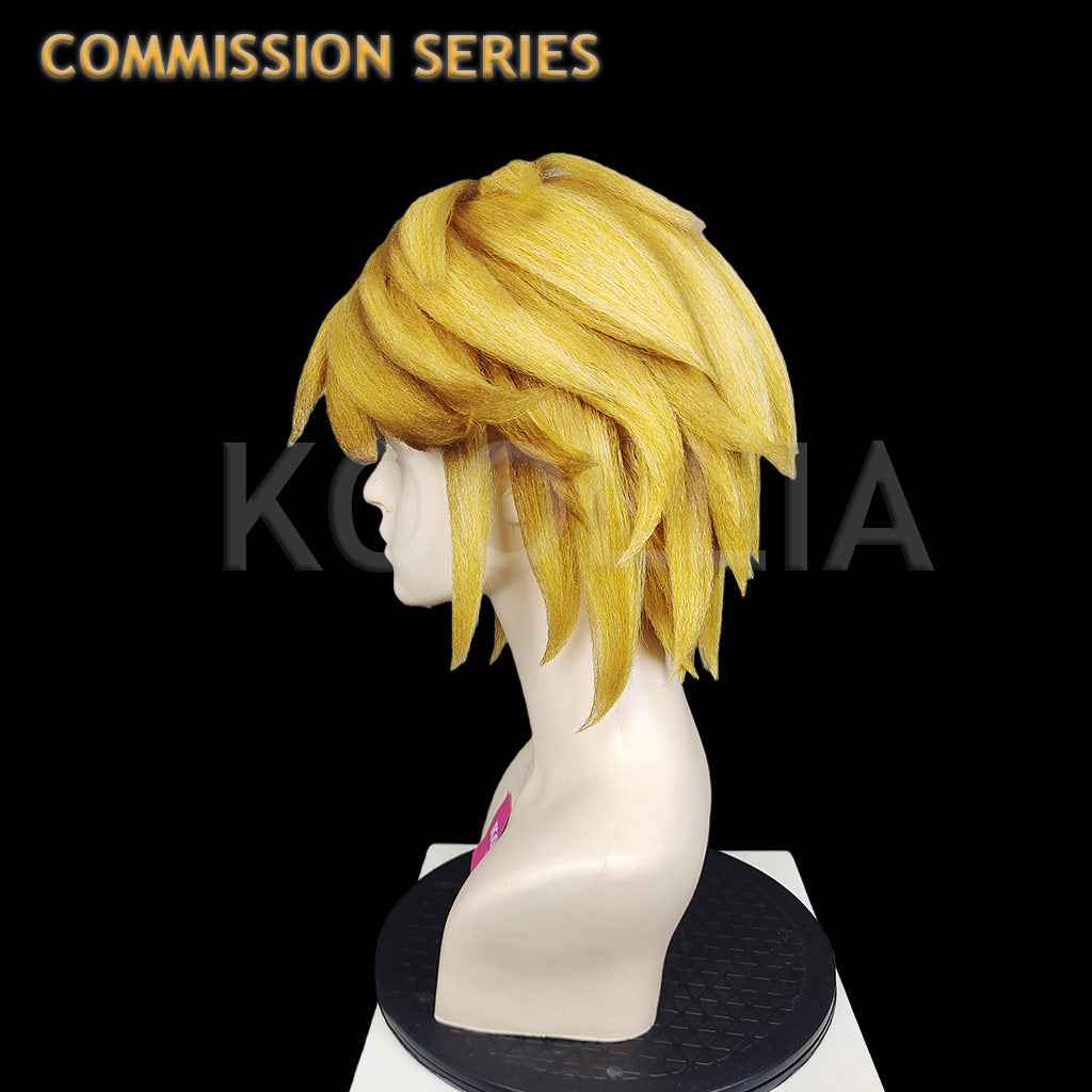 Hyrule Warriors Link Commission Wig(Pre Order)