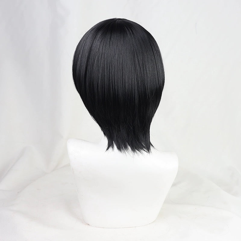 Attack on Titan Mikasa Ackerman Short Black Hair Basic Wig