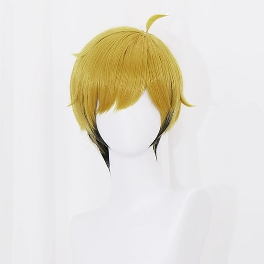 Haikyuu [Miya Osamu, Miya Atsumu] Short Mix Hair Basic Wig