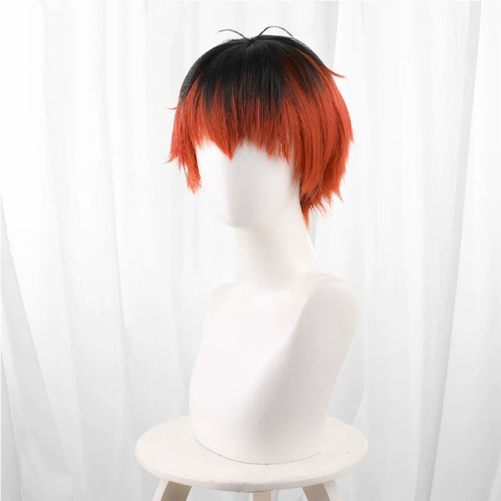 Frieren: Beyond Journey's End Basic Wig