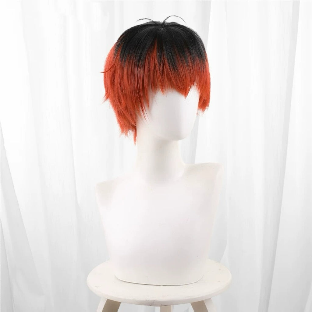 Frieren: Beyond Journey's End Basic Wig