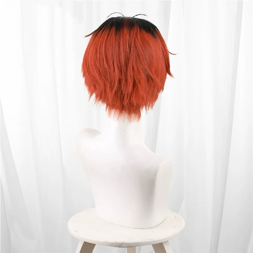 Frieren: Beyond Journey's End Basic Wig