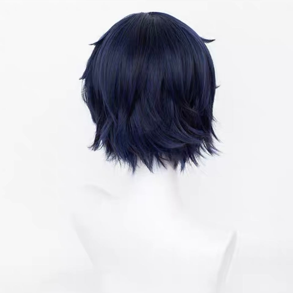 Your Lie in April [Miyazono Kaori, Arima Kousei] Basic Wig