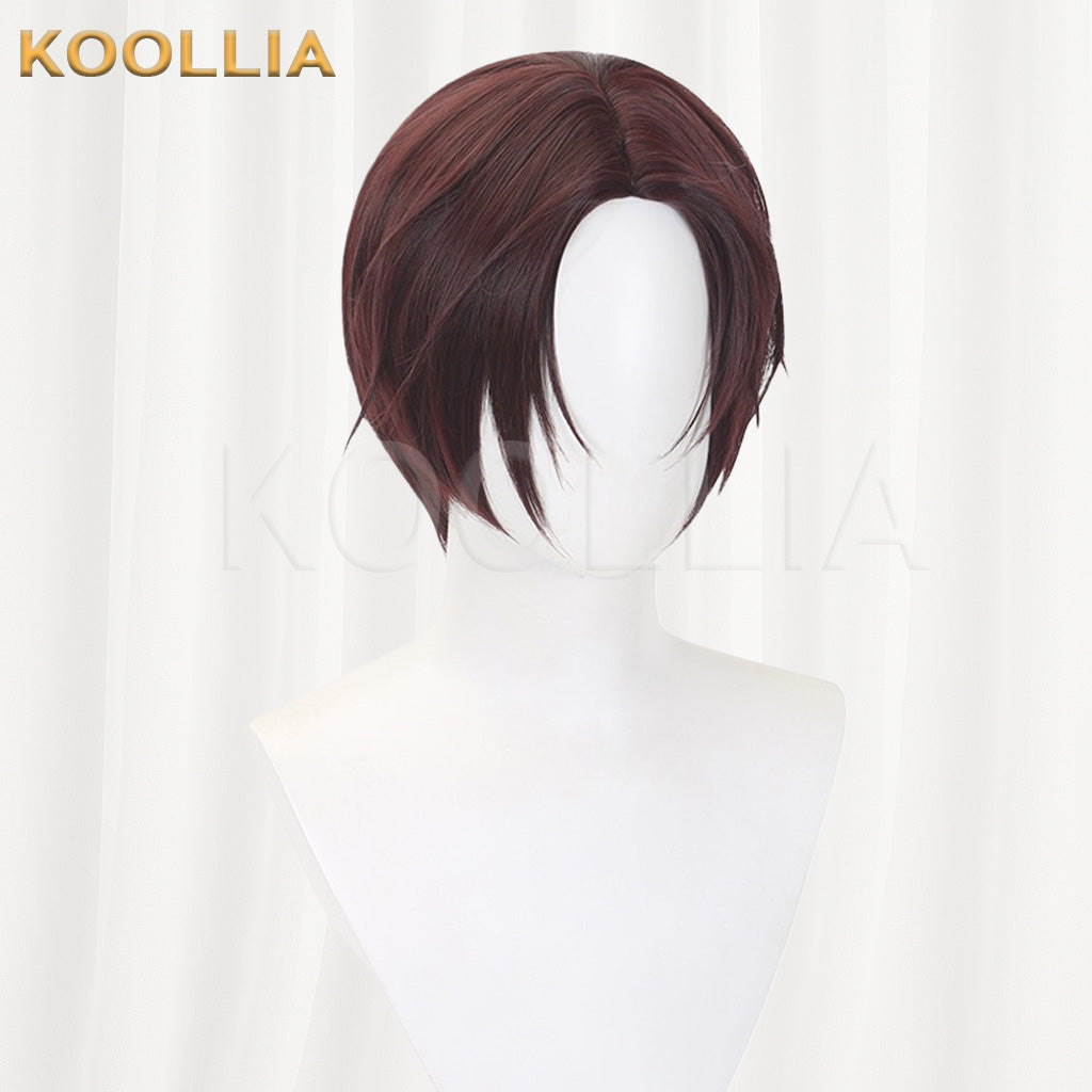 Wind Breaker Sufang Hayato Dark Reddish Brown Basic Wig