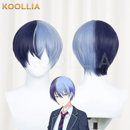 Project Sekai: Colorful Stage feat. Hatsune Miku Aoyagi Toya Short/Long Mix Hair Basic Wig