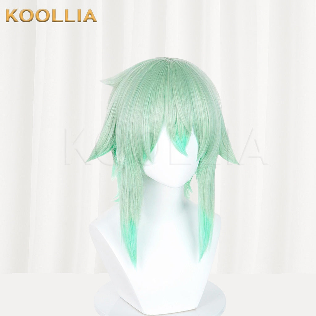 Sword Art Online Asada Shino Long Mix Hair Basic Wig