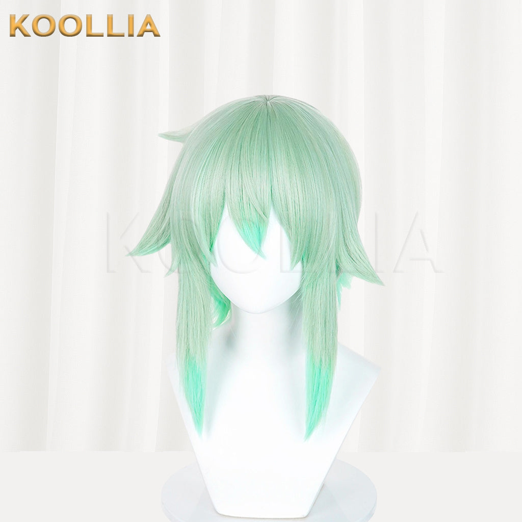 Sword Art Online Asada Shino Long Mix Hair Basic Wig