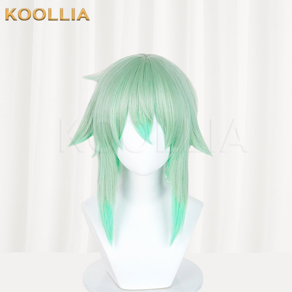 Sword Art Online Asada Shino Long Mix Hair Basic Wig
