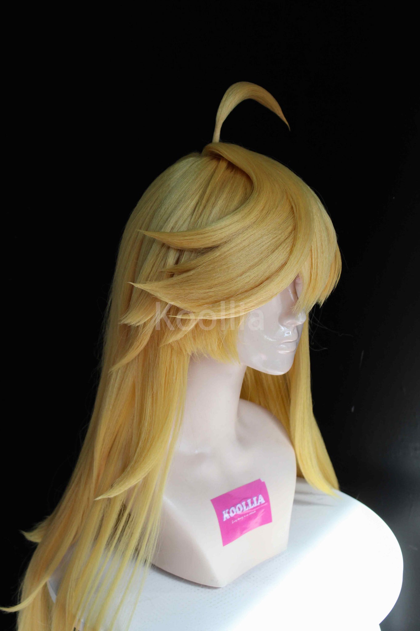 Panty & Stocking with Garterbelt Panty Anarchy Commission Wig