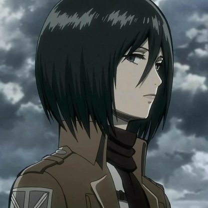Mikasa Ackerman commission wig (lynn)